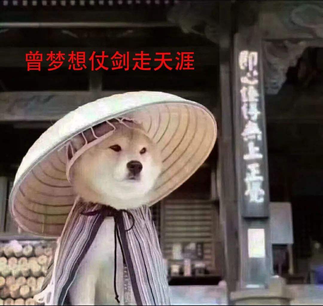 比特币的最新价格是多少