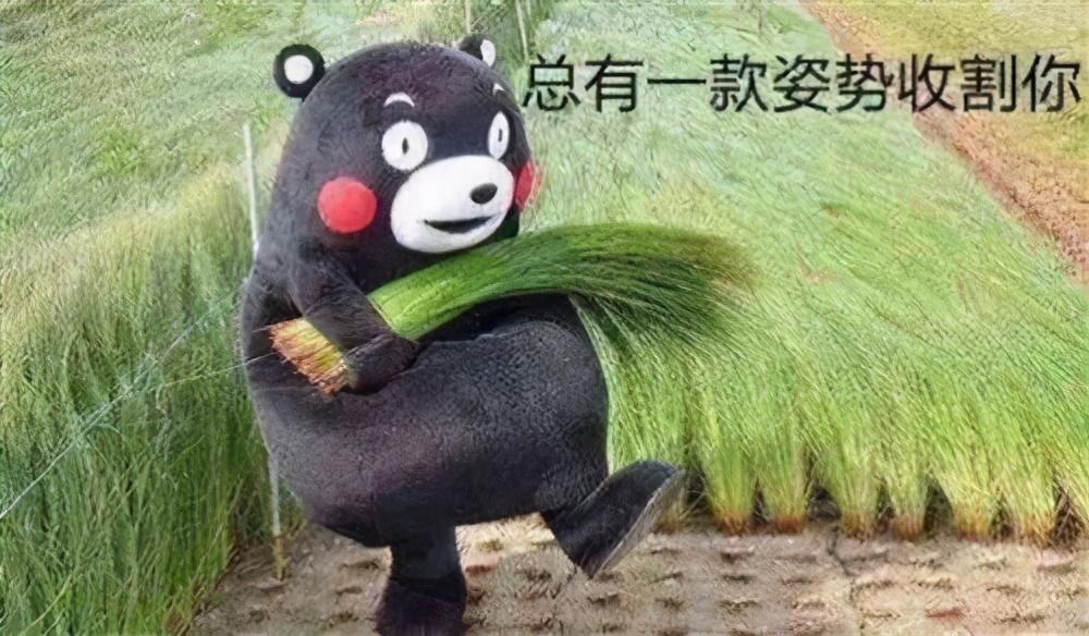 eco网
