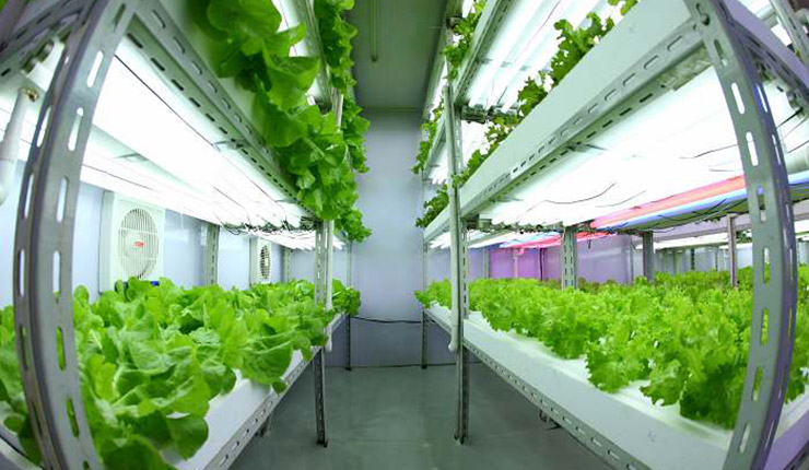 巨头们抢卖菜小贩生意被鞭笞？对未来区块链格局影响深远