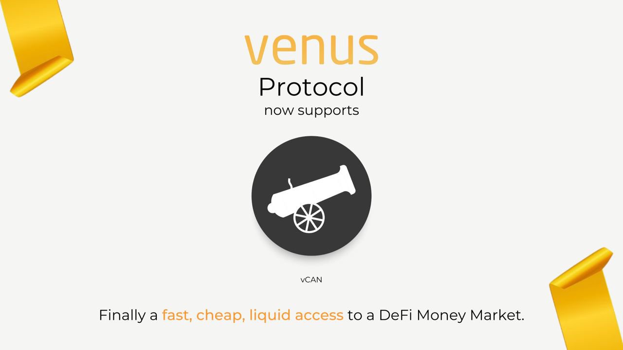 Venus1.3亿美金BTC超大羊毛是怎么被撸到手的？