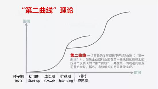 dot币拆分后5年价格