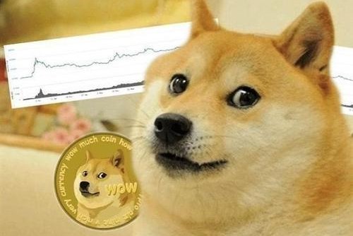2021最具潜力的十大数字货币，6倍了！