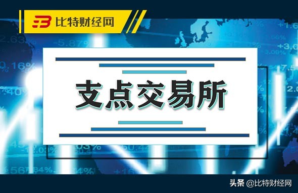 支点交易所官网（app下载） 火币资讯 第1张