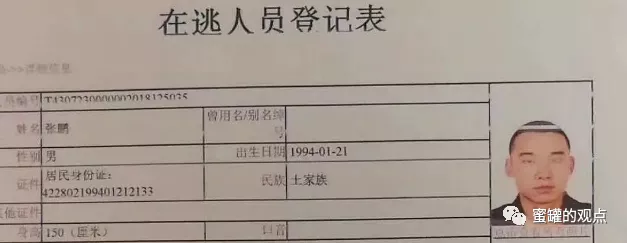 pi币最新消息今日（官方）