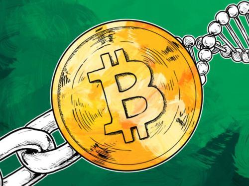 btc美元行情（最新价格）
