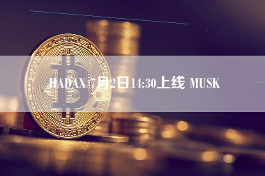 HADAX 7月2日14:30上线 MUSK