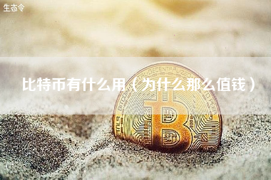 比特币有什么用（为什么那么值钱）