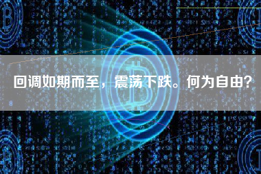 回调如期而至，震荡下跌。何为自由？