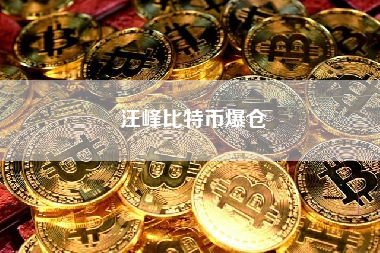 汪峰比特币爆仓
