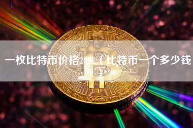 一枚比特币价格2022（比特币一个多少钱）