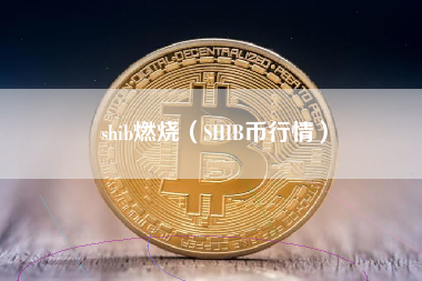 shib燃烧（SHIB币行情）