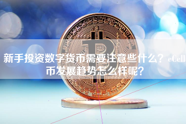 新手投资数字货币需要注意些什么？eCell币发展趋势怎么样呢？