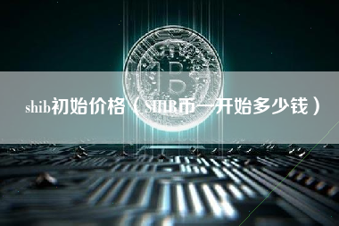shib初始价格（SHIB币一开始多少钱）