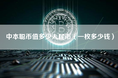 中本聪币值多少人民币（一枚多少钱）