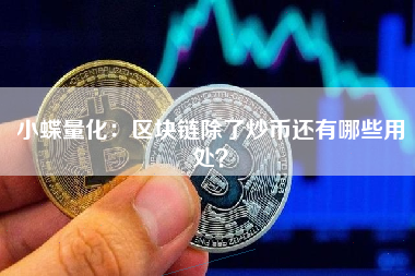 小蝶量化：区块链除了炒币还有哪些用处？
