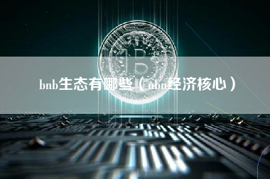 bnb生态有哪些（nbn经济核心）