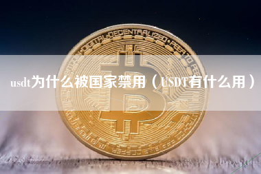usdt为什么被国家禁用（USDT有什么用）