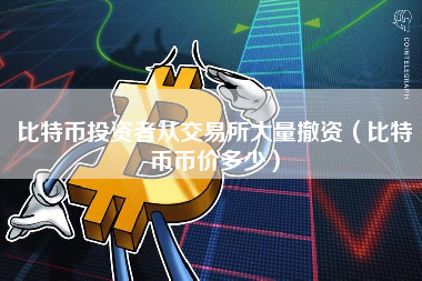 比特币投资者从交易所大量撤资（比特币币价多少）