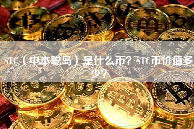 STC（中本聪岛）是什么币？STC币价值多少？