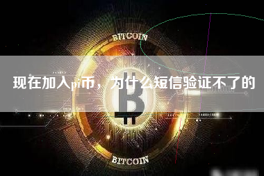 现在加入pi币，为什么短信验证不了的