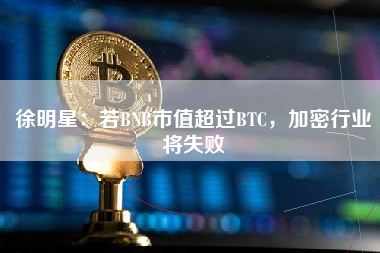 徐明星：若BNB市值超过BTC，加密行业将失败