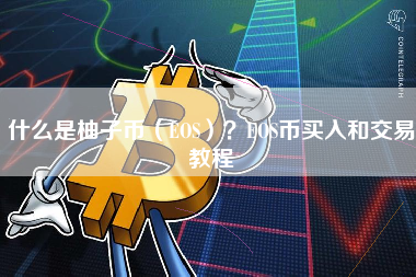 什么是柚子币（EOS）？EOS币买入和交易教程