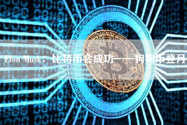 Elon Musk：比特币会成功——狗狗币登月