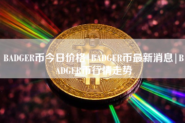 BADGER币今日价格|BADGER币最新消息|BADGER币行情走势