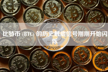 比特币 (BTC) 的历史触底信号刚刚开始闪烁
