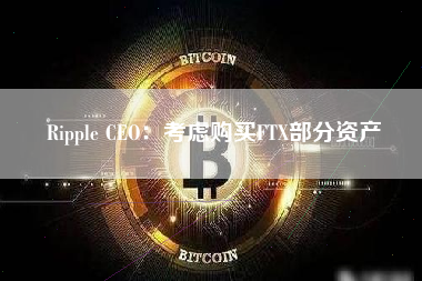 Ripple CEO：考虑购买FTX部分资产