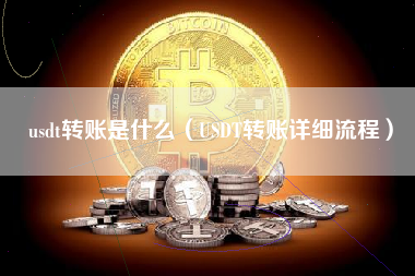 usdt转账是什么（USDT转账详细流程）