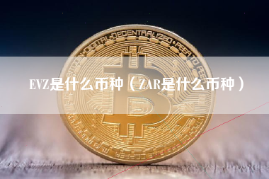 EVZ是什么币种（ZAR是什么币种）