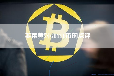 韭菜黄对GBYTE币的点评