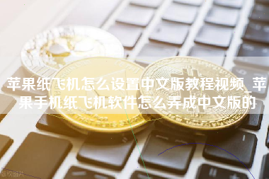 苹果纸飞机怎么设置中文版教程视频_苹果手机纸飞机软件怎么弄成中文版的