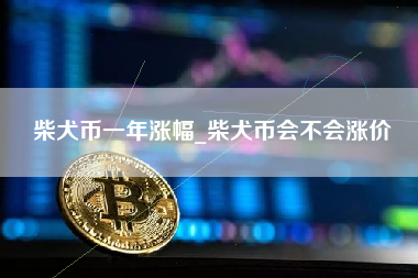 柴犬币一年涨幅_柴犬币会不会涨价