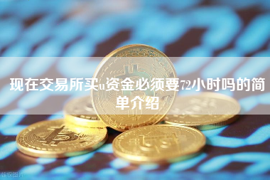 现在交易所买u资金必须要72小时吗的简单介绍