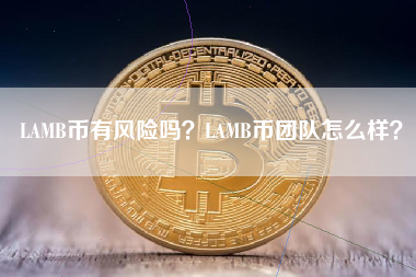 LAMB币有风险吗？LAMB币团队怎么样？