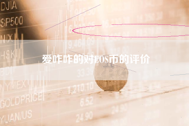 爱咋咋的对EOS币的评价