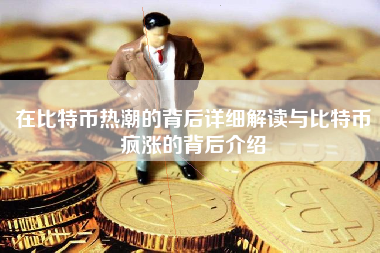 在比特币热潮的背后详细解读与比特币疯涨的背后介绍
