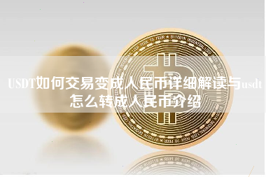 USDT如何交易变成人民币详细解读与usdt怎么转成人民币介绍