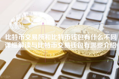 比特币交易所和比特币钱包有什么不同详细解读与比特币交易钱包有哪些介绍