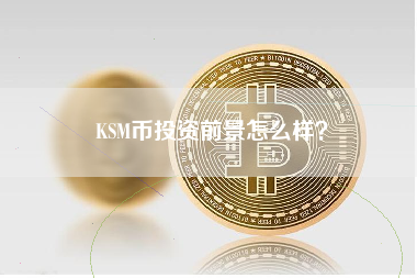 KSM币投资前景怎么样？