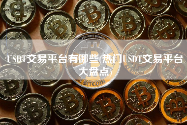 USDT交易平台有哪些(热门USDT交易平台大盘点)