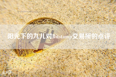 阳光下的九儿对Bitstamp交易所的点评