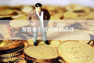 发哥爱币对WT币的点评