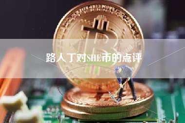 路人丁对SHE币的点评
