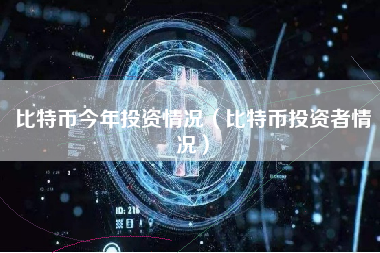 比特币今年投资情况（比特币投资者情况）