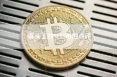 寡头王对NULS币的点评