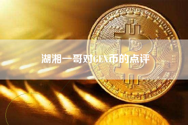 湖湘一哥对GEX币的点评