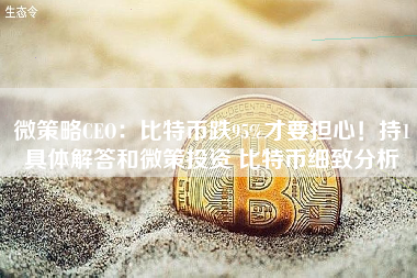 微策略CEO：比特币跌95%才要担心！持1具体解答和微策投资 比特币细致分析